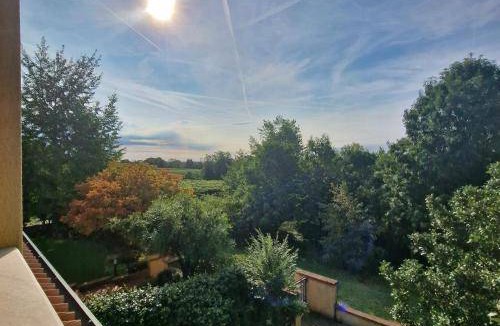 Susegana Bed & Breakfast | 16 m² Bed and breakfast ∙ 2 guests