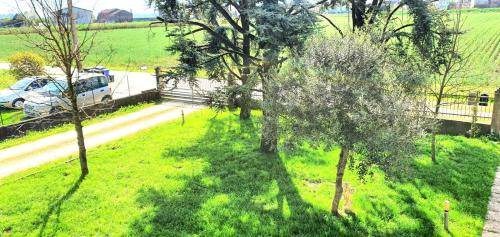 Legnago Bed & Breakfast | 19 m² Bed and breakfast ∙ 3 guests