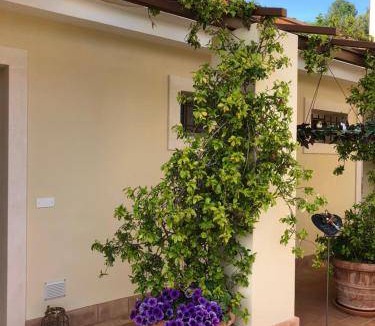 Nord-Est Bed & Breakfast | 22 m² Bed and breakfast ∙ 2 guests