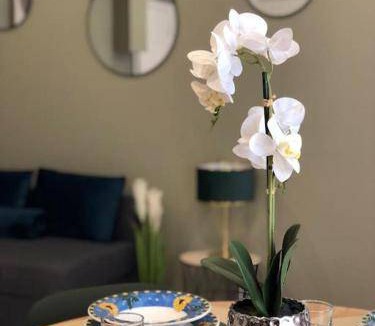 Montreuil Apartment | 39 m² Apartment ∙ 1 bedroom ∙ 4 guests