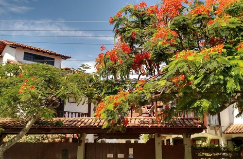 Pero House | 4 bedrooms, 300m from the beach, wi-fi, barbecue