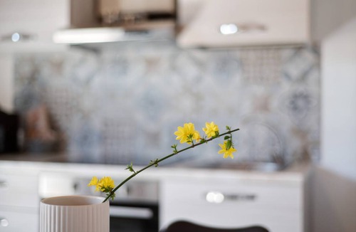 Montioni House | 50 m² House ∙ 1 bedroom ∙ 4 guests