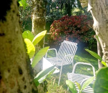 Treviso Bed & Breakfast | A Casa Di Dora