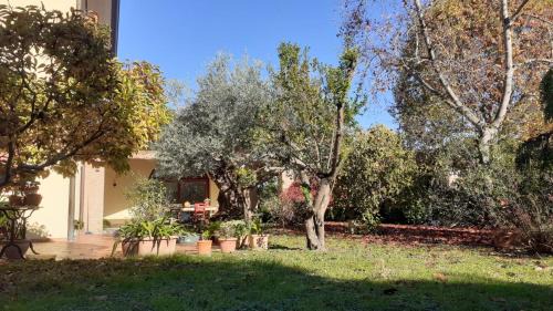 Pagnano Apartment | A casa di Jolanda, indipendent house near historic Venice center with private parking and wide and fenced garden