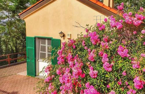 Stella House | A me ca picita