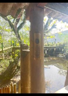 Ilha Grande House | Aconchego da Lu