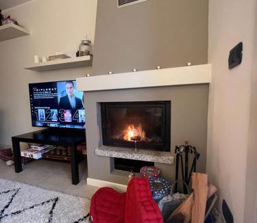 Vione Apartment | Adamello Verde Holiday Apartment