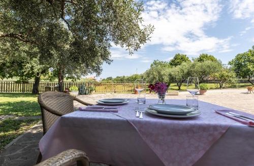 Muggia House | Affittacamere Cigui