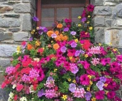 Comelico Superiore Bed & Breakfast | Affittacamere da Annarè