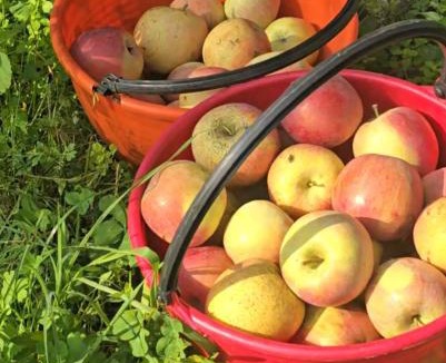 Santa Lucia ai Monti Other | Agricampeggio AL CIELO STELLATO