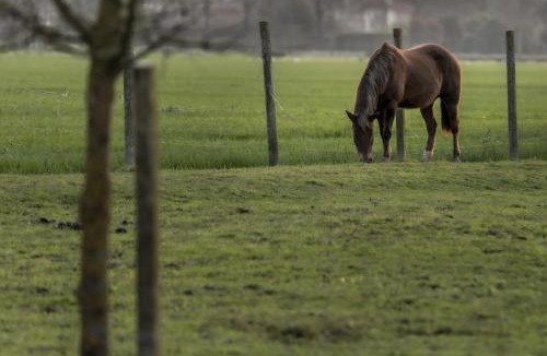 Treviso House | Agriturismo Al Botteniga