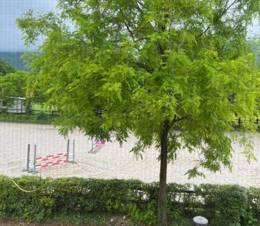 Castello d'Aviano House | Agriturismo al Ranch