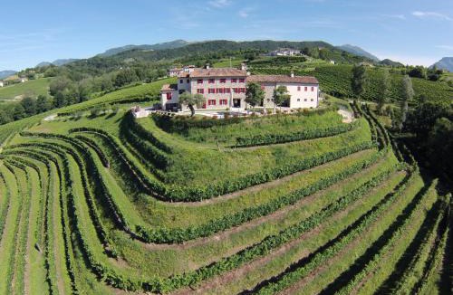 Vittorio Veneto House | Agriturismo Althea