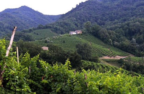 Miane Bed & Breakfast | Agriturismo Casa di Campagna