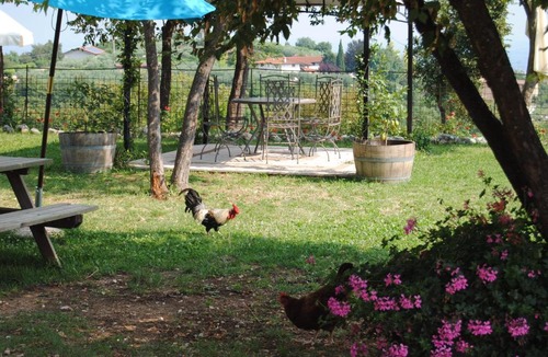 Nord-Est House | Agriturismo Il Porcellino