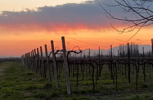 Gaiarine House | Agriturismo Richeton