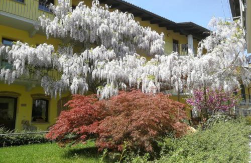 Roppolo House | Agriturismo Tra Serra E Lago