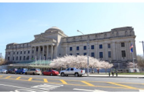 Bedford-Stuyvesant House | ANGUS1.30 minutes to airport - Chancy B 2 BR apartment
