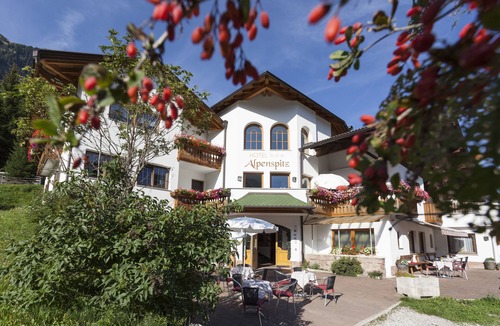 Racines Apartment | Apartment 'Alpenspitz Appartement Saxner 2' with Mountain View, Shared Garden and Wi-Fi