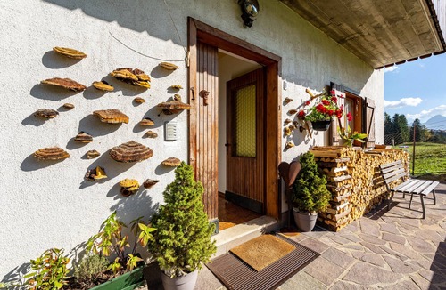 Padola Apartment | Apartment 'Appartamento M Cavallino' with Mountain View, Shared Garden and Wi-Fi