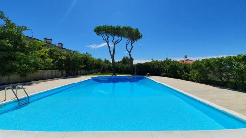Montioni Apartment | APARTMENT BREZZA DI LAGO - Regarda Travel