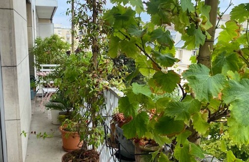Porte-Saint-Martin Apartment | Apartment/Flat - Paris