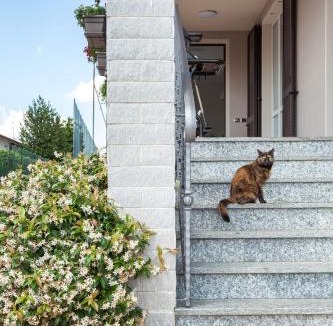 Carnago Apartment | Apartment MisiAdele