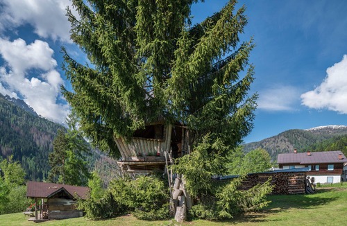 Pie Falcade Apartment | Apartment 'Tana Del Picchio Rosso' with Mountain View, Shared Garden and Wi-Fi