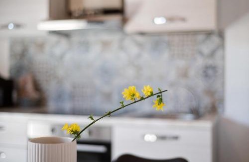 Montioni House | Appartamenti Villafiorito