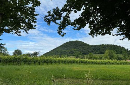 Teolo Apartment | Appartamento casa vacanza Abano Terme Euganean Hills Holiday