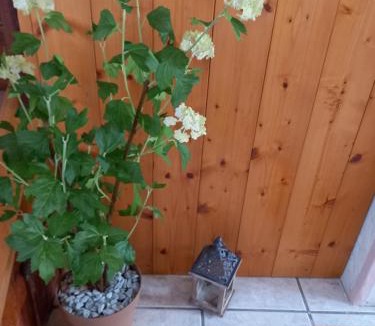 Pieve d'Alpago Apartment | Appartamento 'Io e te'