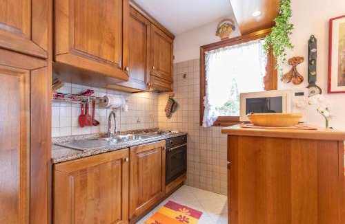 Selva di Cadore Apartment | Appartamento Mondeval