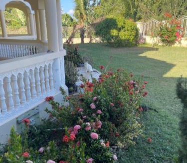Black River Bed & Breakfast | Auglo Villa