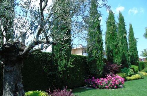 Lissaro Bed & Breakfast | B&B Ai Cipressi