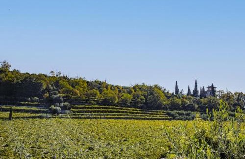 Gargagnago di Valpolicella Bed & Breakfast | B&B Ca' Bernai