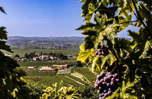 Gargagnago di Valpolicella Bed & Breakfast | B&B Ca' Bernai