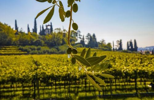 Gargagnago di Valpolicella Bed & Breakfast | B&B Ca' Bernai