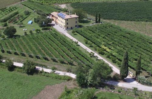 Domegliara Bed & Breakfast | B&B CAMPAGNON VALPOLICELLA