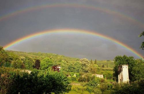 Marcellise Bed & Breakfast | B&B La Grola