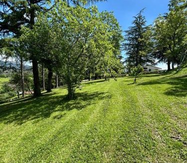 Costalta Bed & Breakfast | B&B SAN MARTINO