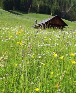 Granvilla Bed & Breakfast | B&B Schlossar Haus