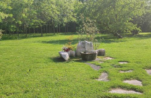 Motta di Livenza Bed & Breakfast | B&B Villa Elisa