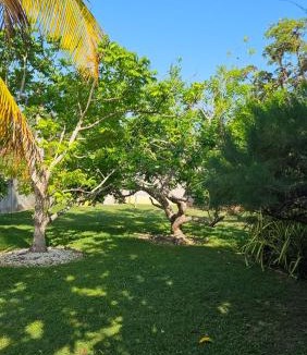 Crane corner Villa | Beachscape At Black River Ethlyn by the sea