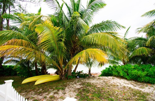 Spanish Wells House | Beachside Bungalow- Tranquility House