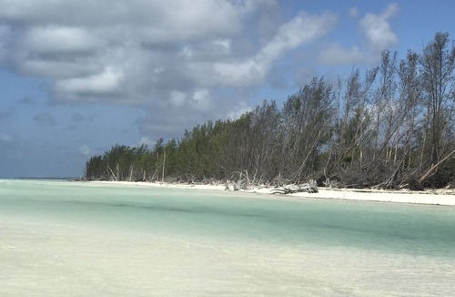 Bahama Reef Condo | Beautiful Condo in the sunny Bahamas with awesome vistas.
