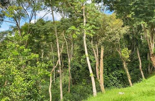 Areal Cottage | Beautiful Country House 15 minutes from Itaipava