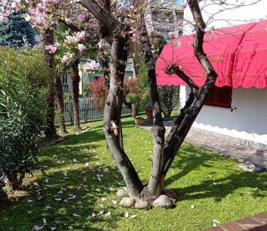 Mazzo House | BF SUITE Foresteria Bellusci