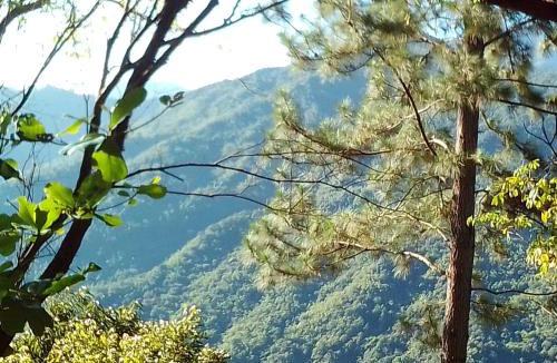 Blue Mountains National Park Cabin | Blue Mountain Wilderness Retreat Jamaica House