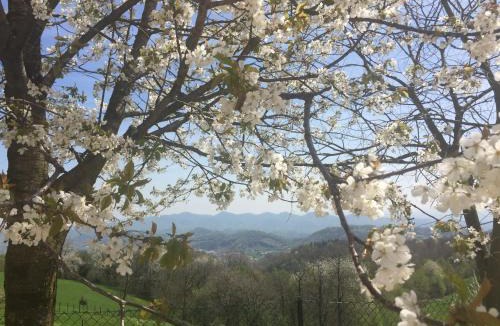 Paderno del Grappa Apartment | Boccaor