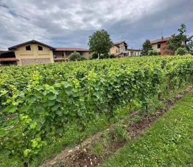 Erbusco House | borgo nel vigneto 2